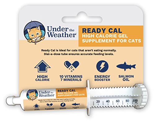Best Weight Gain Supplements for Cats to Boost Health and Appetite