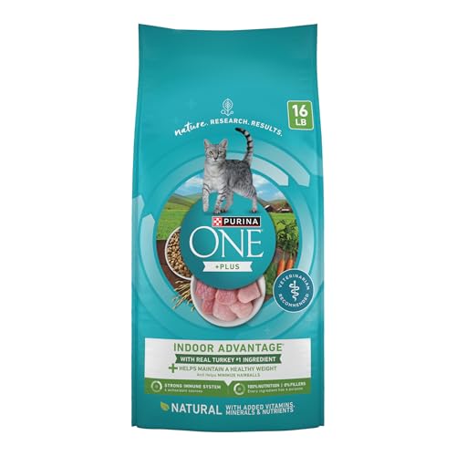 Best Weight Management Dry Cat Food for Healthy and Happy Cats