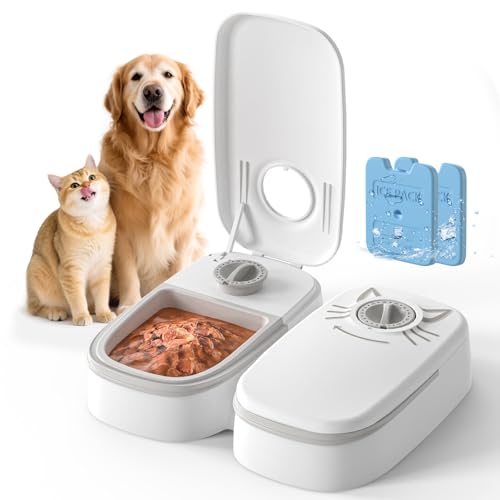 Best Wet Cat Food Feeder for Freshness and Convenient Timed Feeding