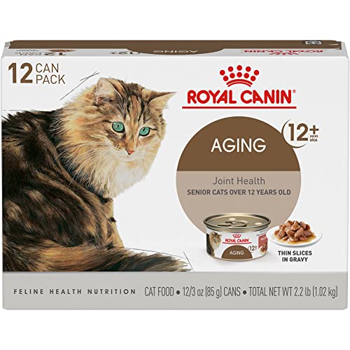 Best Wet Cat Food for Arthritis: Top Tasty, Supportive Choices