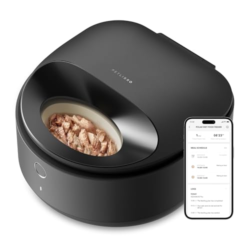 Best Wet Food Feeder for Cats: Top Automatic Refrigerated Dispensers Reviewed