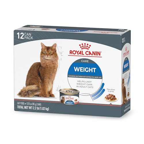 Best Wet Food for Cats to Lose Weight