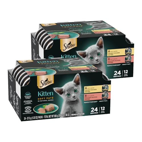 Best Wet Kitten Food for Indoor Cats