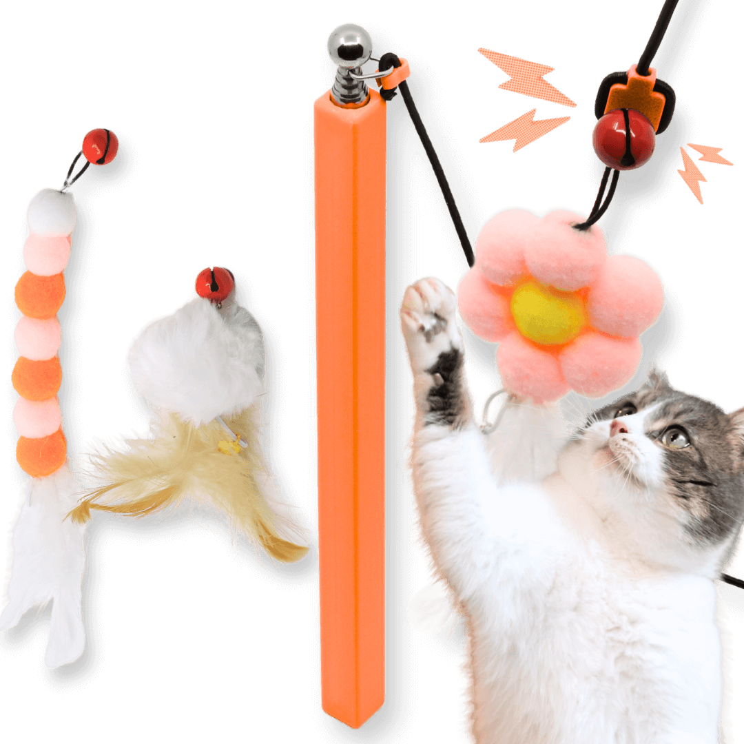 Can a Cat Catch Something for a Toy? Fun Facts Revealed!