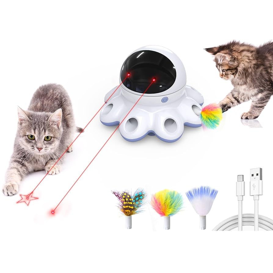 Can Cat Toy Lasers Damage Eyes? Shocking Truth Revealed!
