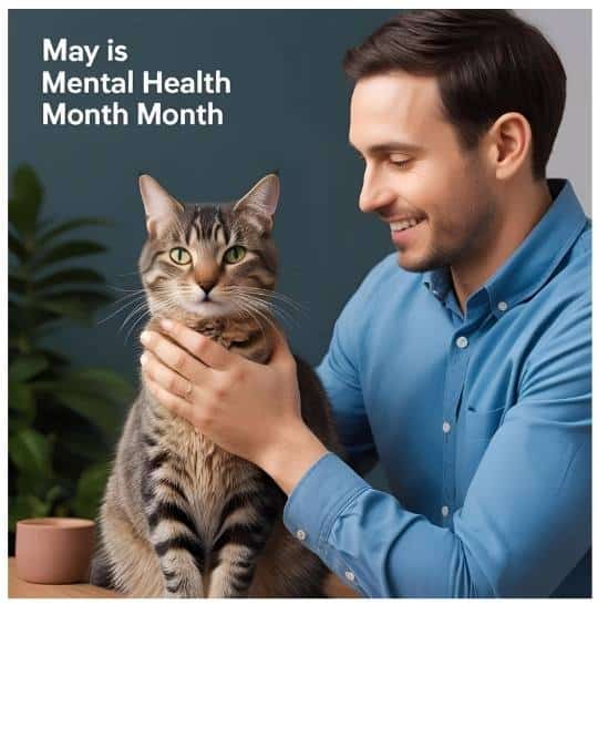 Can Cats Help Mental Health