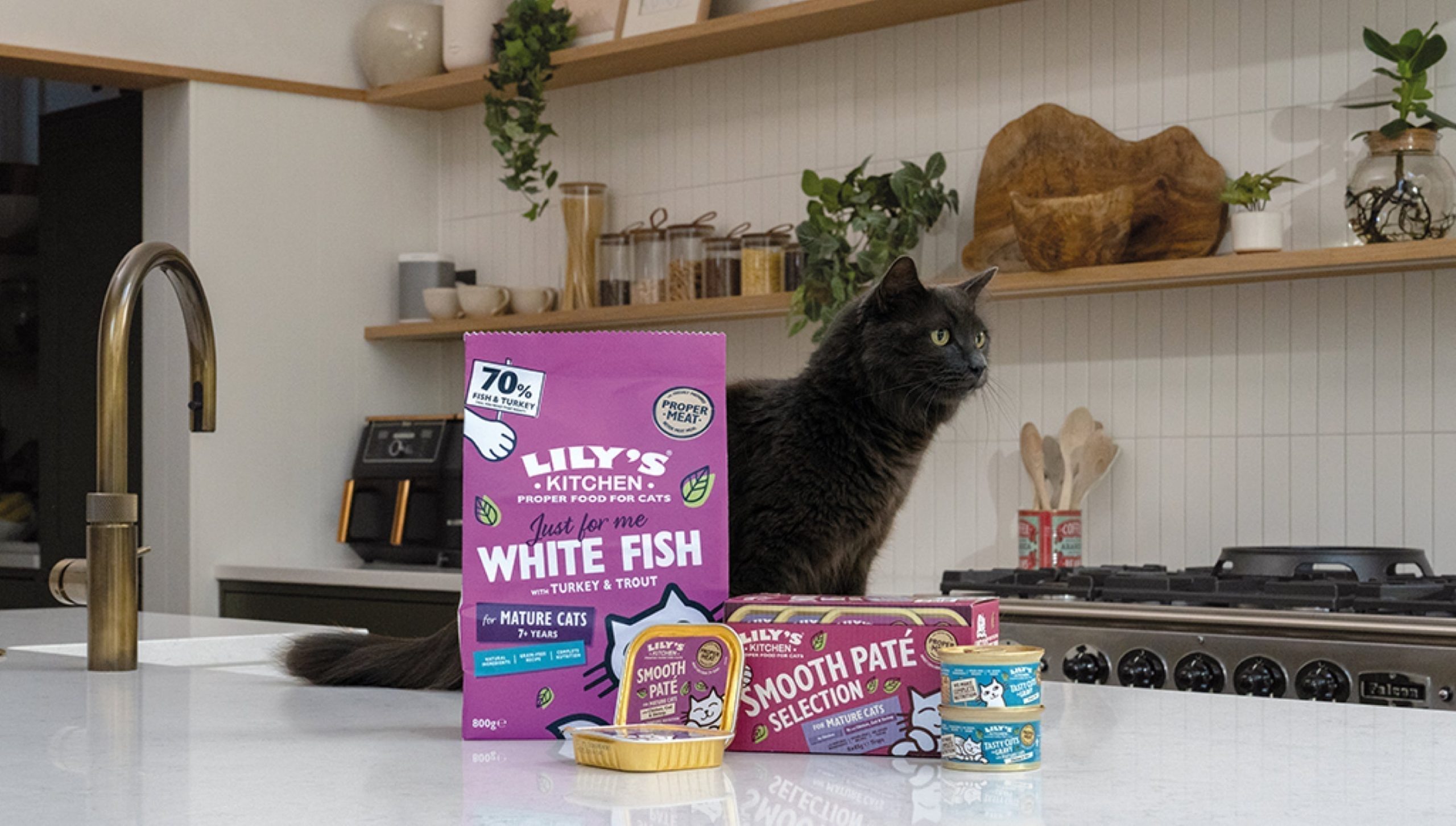 Can I Feed an Adult Cat Senior Food? Expert Tips Revealed