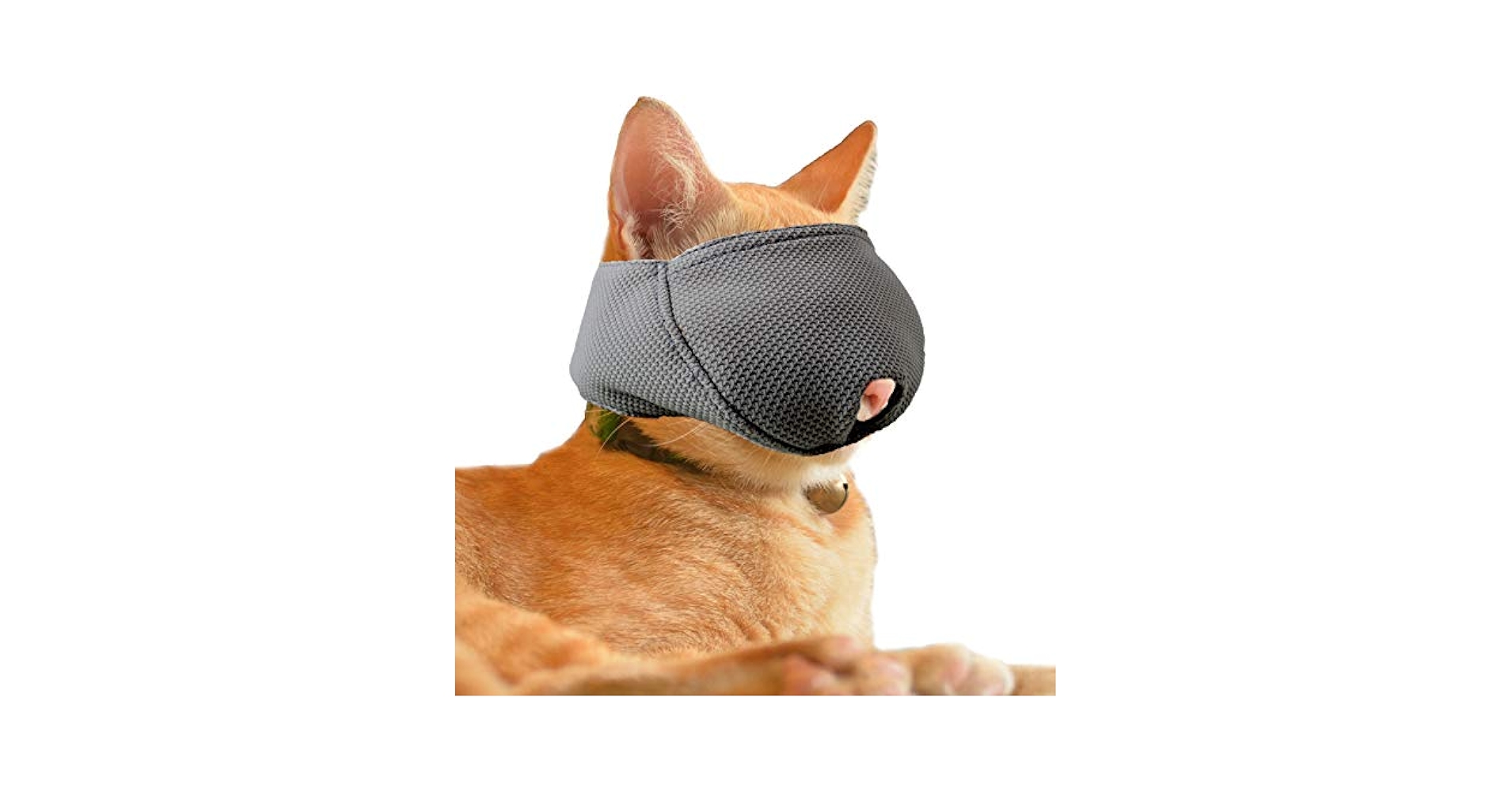 Can I Muzzle My Cat to Groom Them: Safety Tips & Alternatives