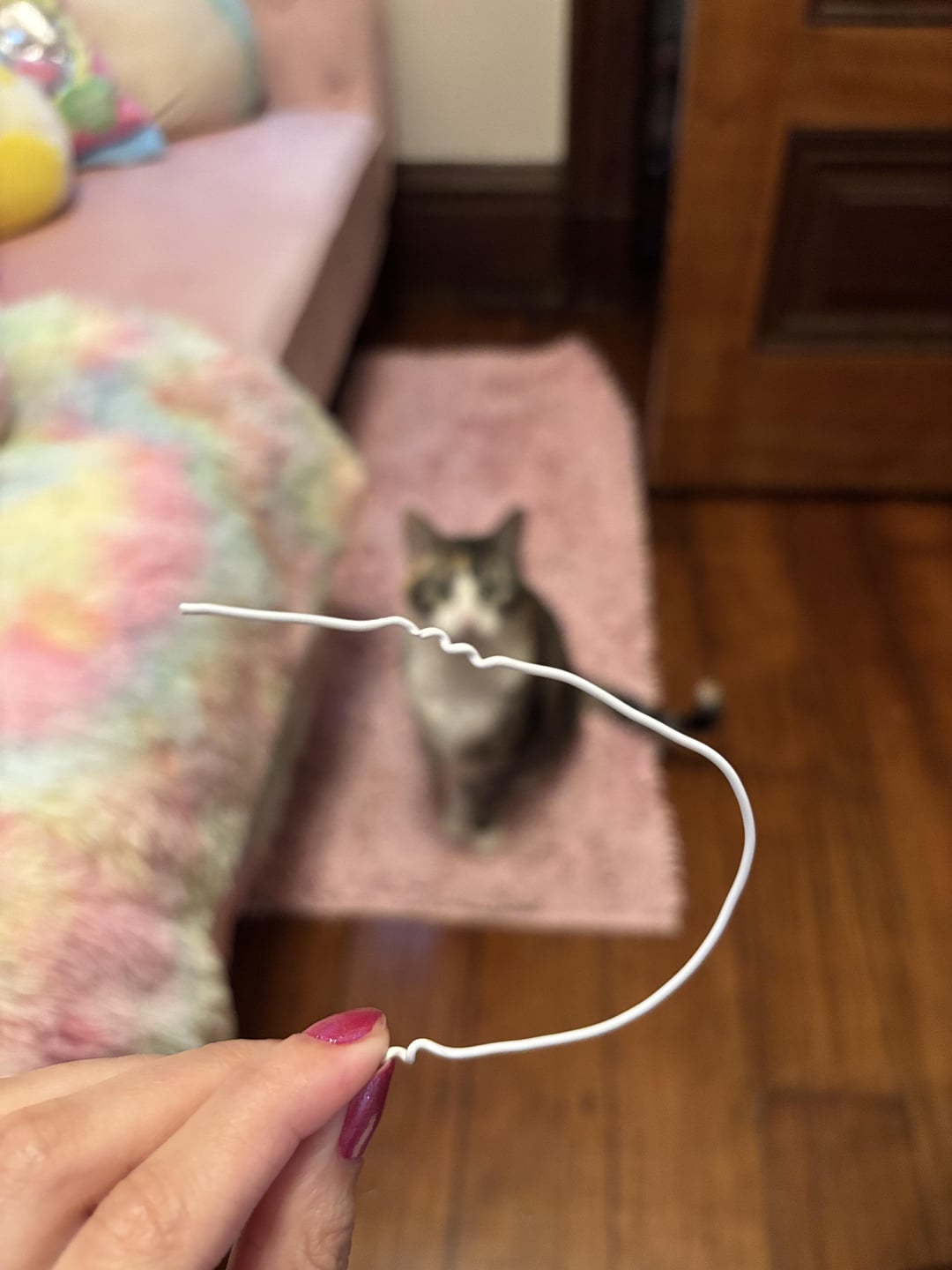 Can I Put Duct Tape on Cat Toy
