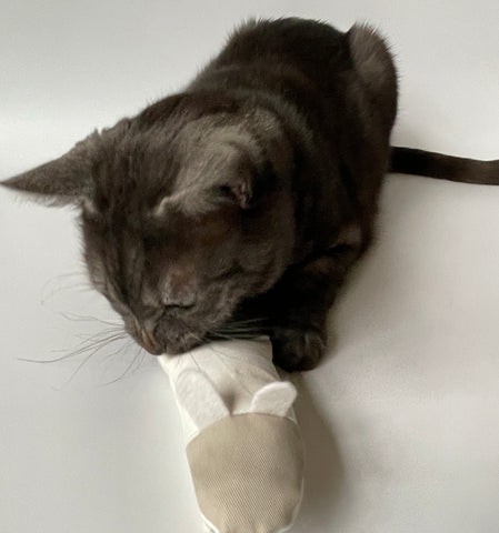 Can Interactive Cat Toys Mentally Stimulate Cats? Boost Their Brainpower!