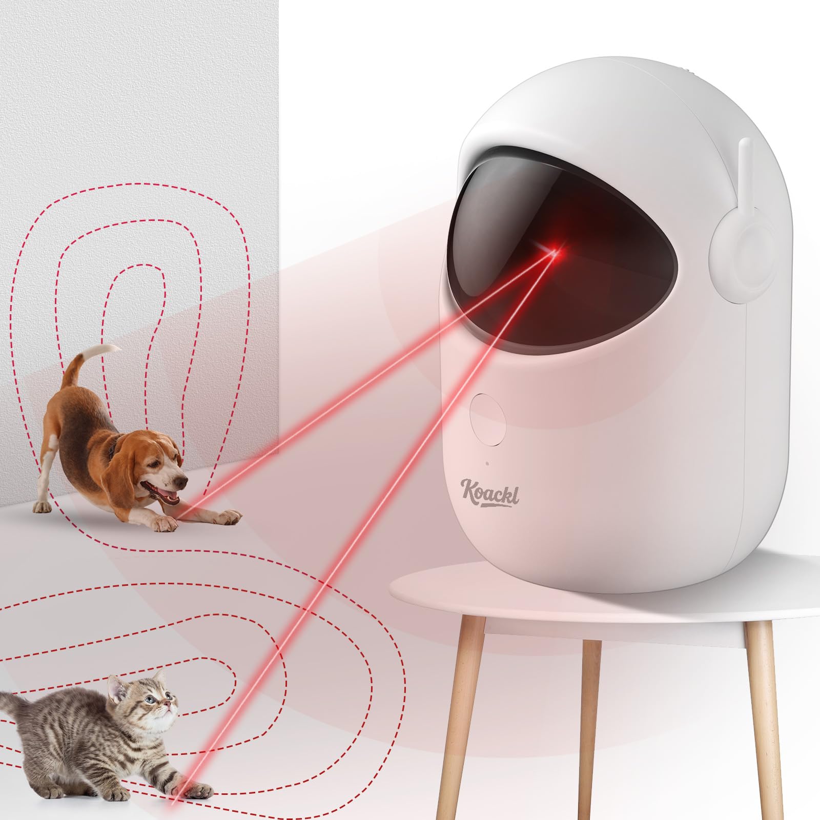 Can the Cat Toy Laser Hurt the Cat'S Eyes
