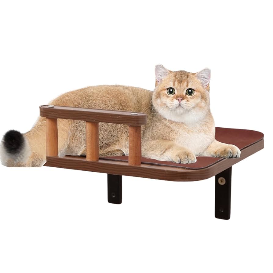 Can Tice Be in Cat Toys: Uncover the Surprising Truth!