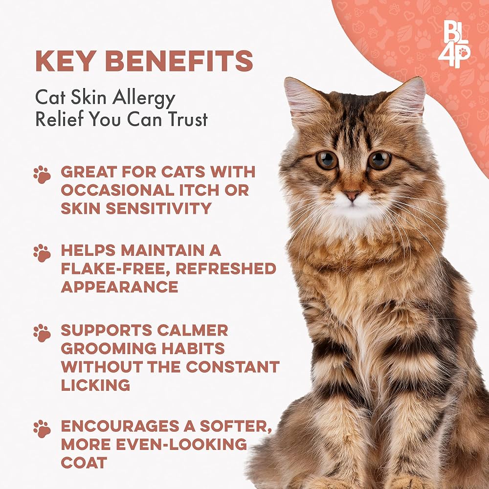 Can You Cure a Cat Allergy With Grooming? Surprising Facts Revealed