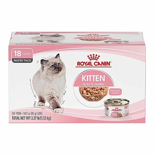 Can You Feed a Thin Adult Cat Kitten Food? Expert Tips Revealed