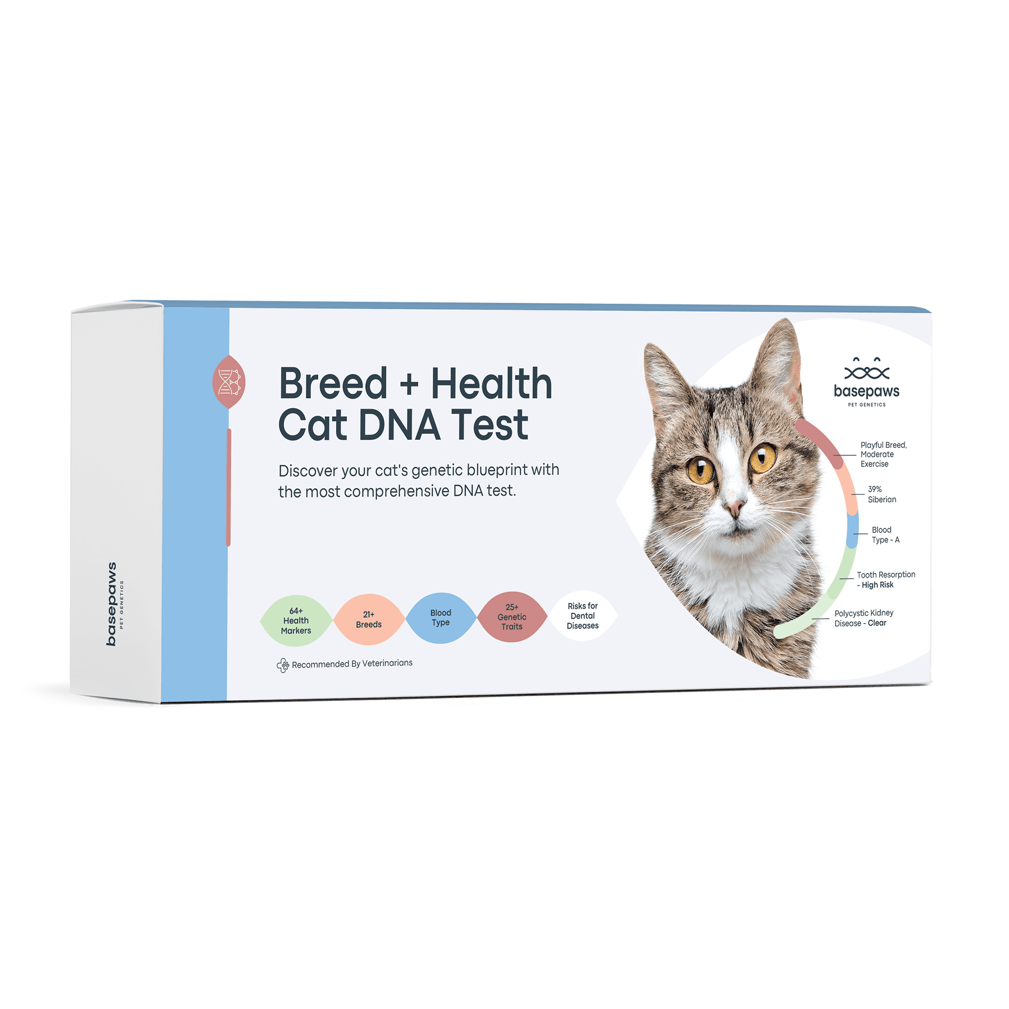 Can You Get Your House Cat’S Dna Tested for Breeds? Discover How!