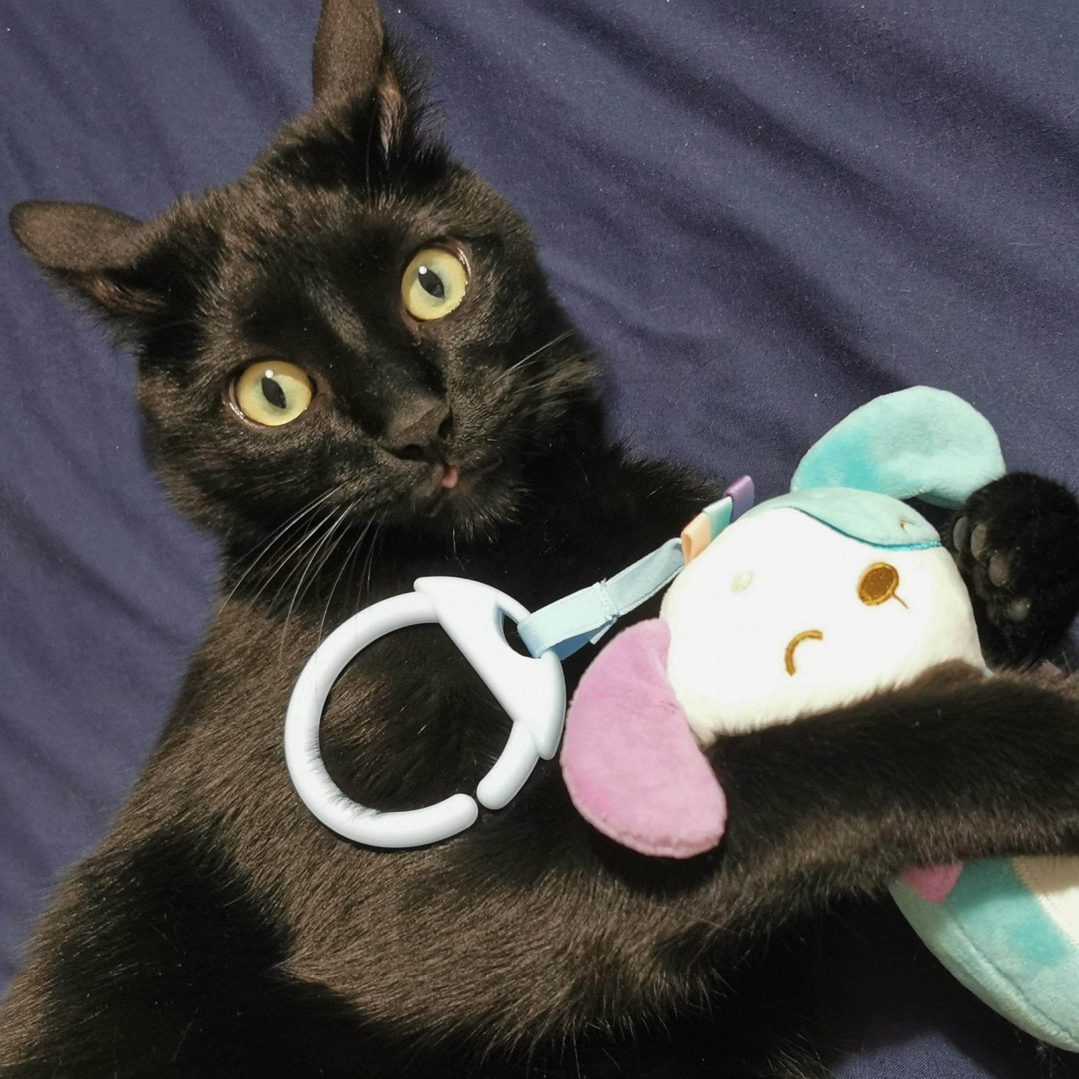 Can You Give Babies Cat Toys