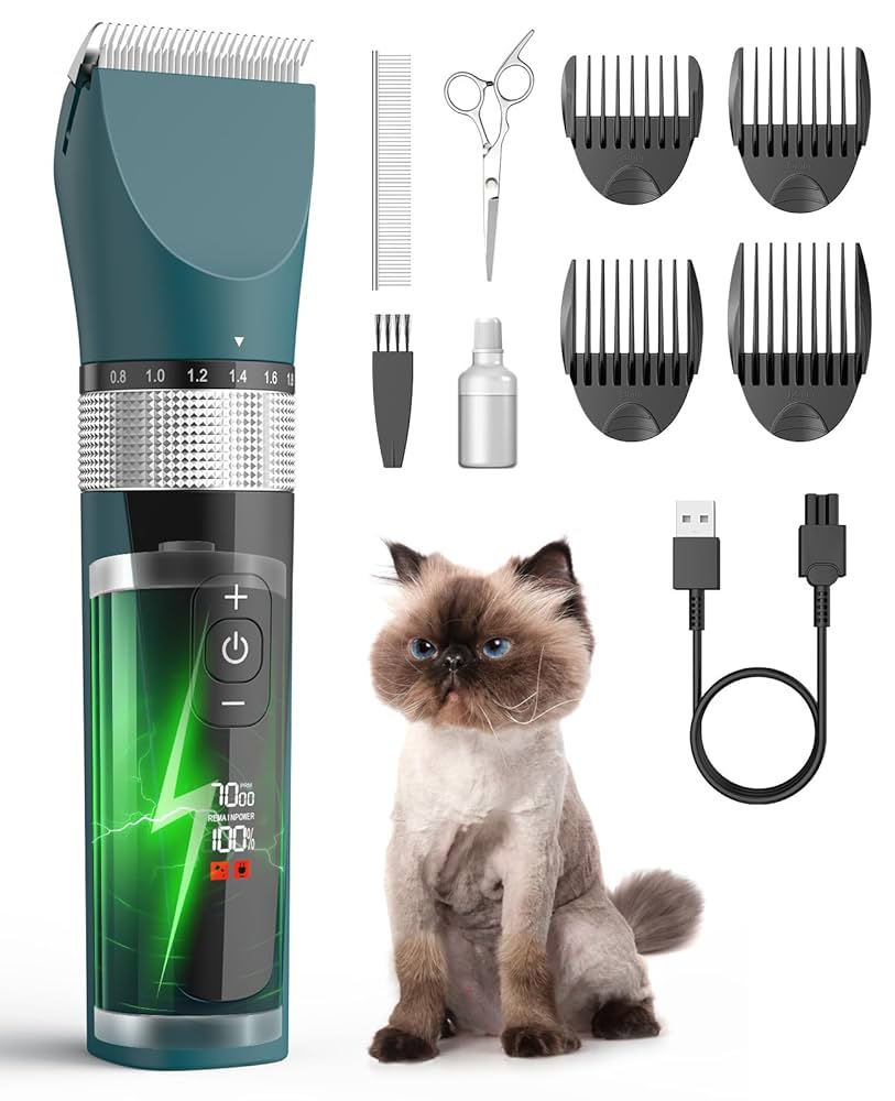 Can You Groom a Cat With Dog Clippers