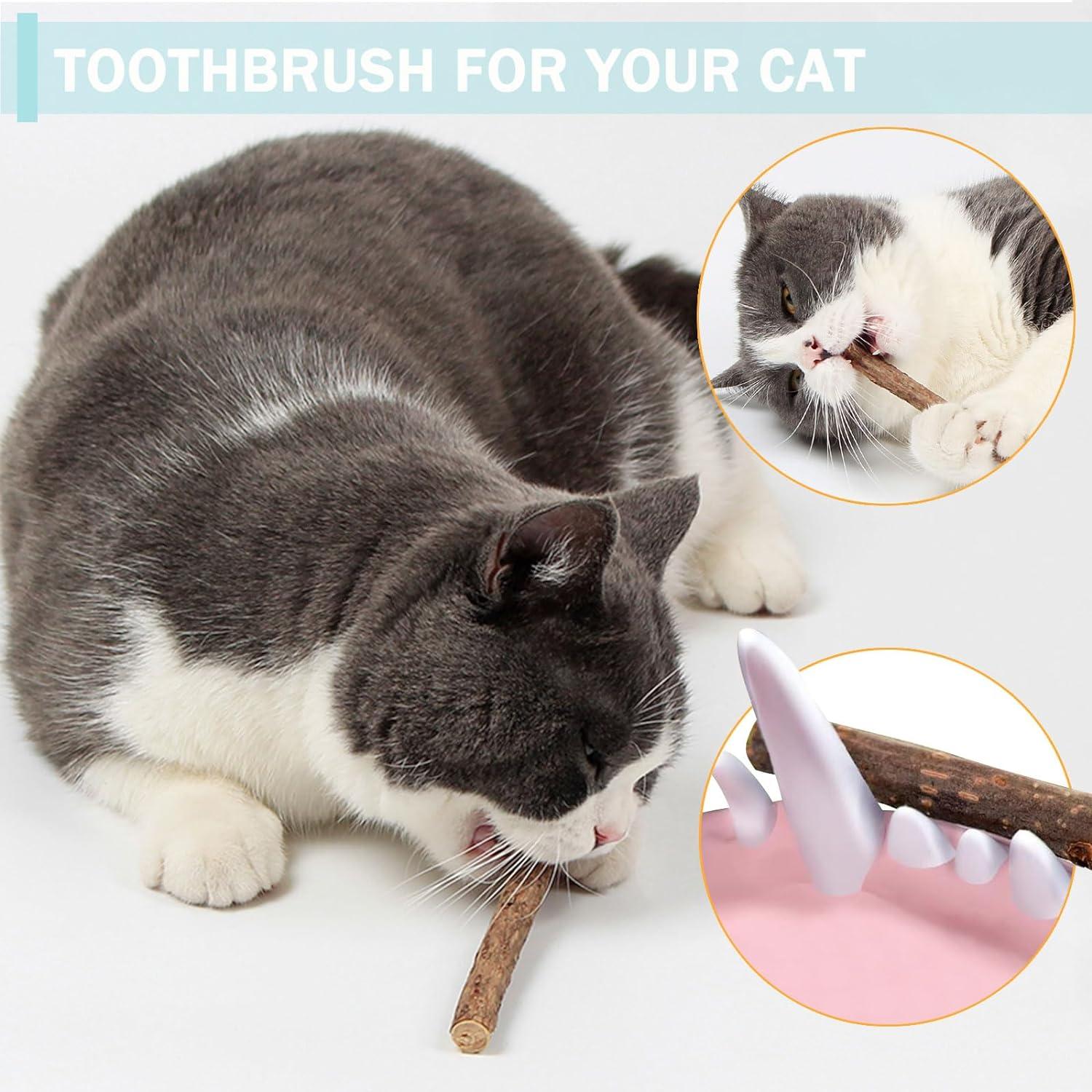 Can You Soak Cat Toys in Catnip Tea: Safe & Effective Tips