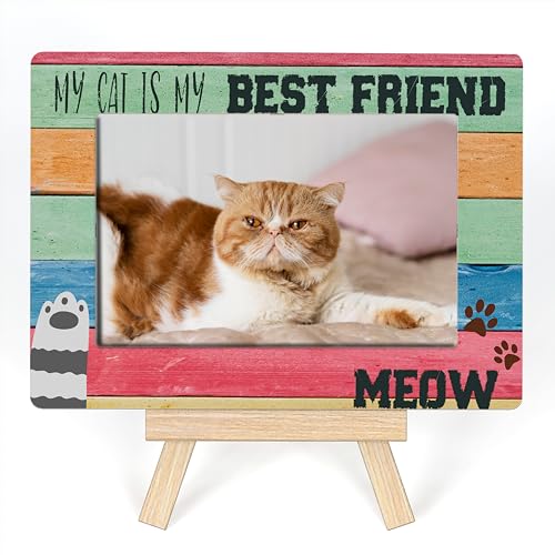 Cat is My Best Friend