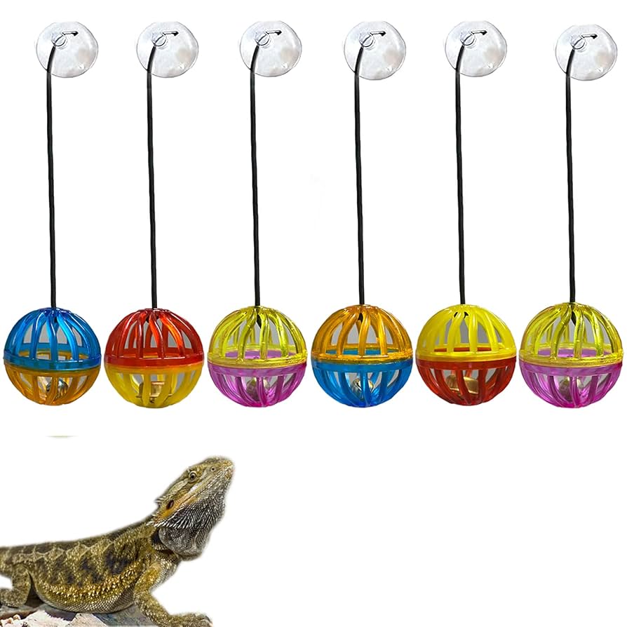Do Bearded Dragons Play With Cat Toys: Surprising Fun Facts Revealed