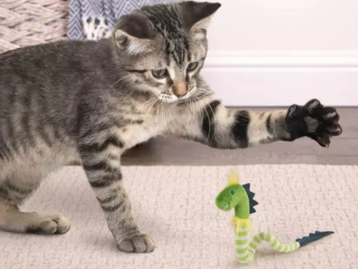 Do Cats Get High from Catnip Filled Toys? Surprising Facts Revealed!
