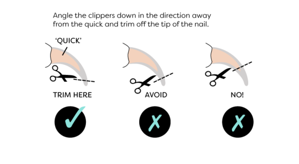 Do Cats Groom Their Own Nails