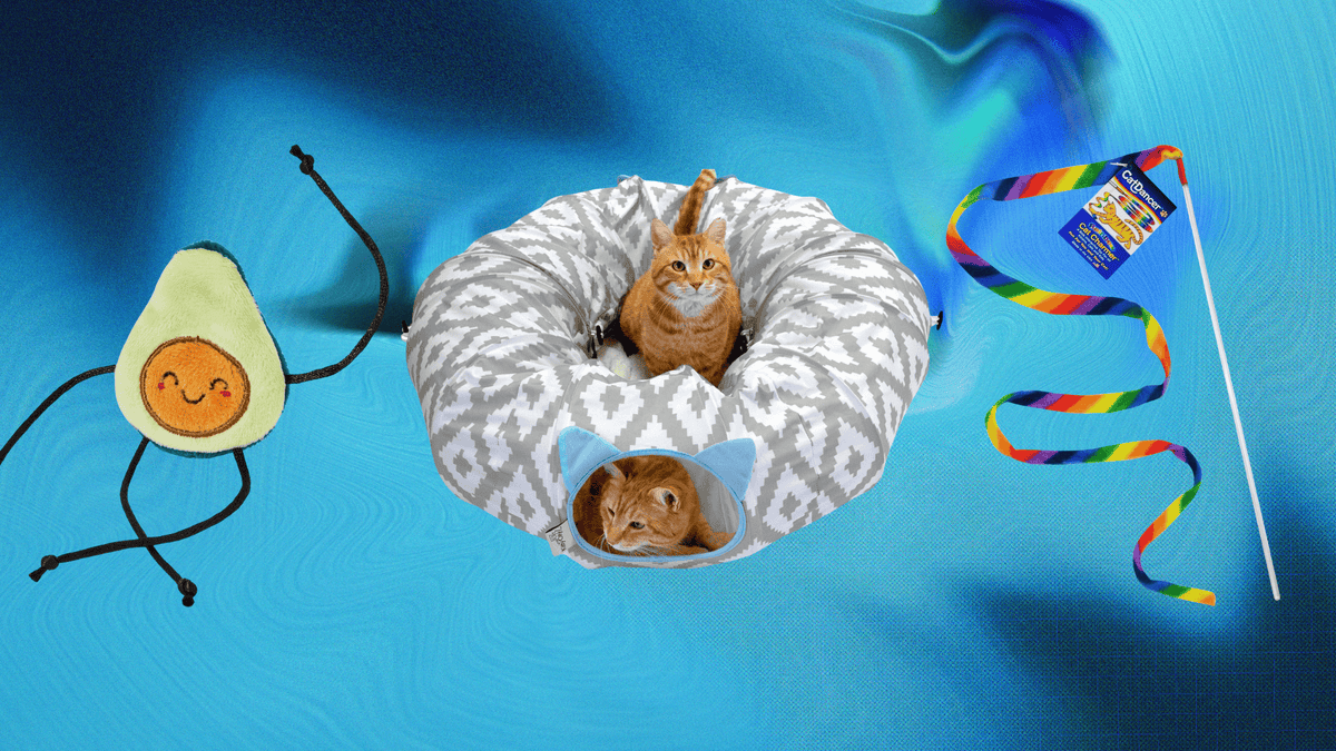 Do Cats Need a Lot of Toys: Essential Tips for Happy Pets