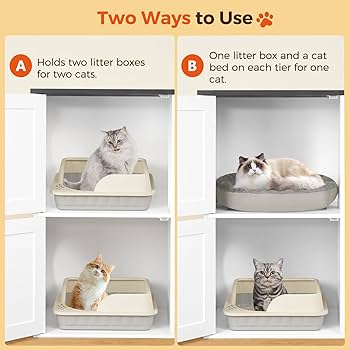 Do Cats Need Two Litter Boxes: Essential Tips for Happy Pets
