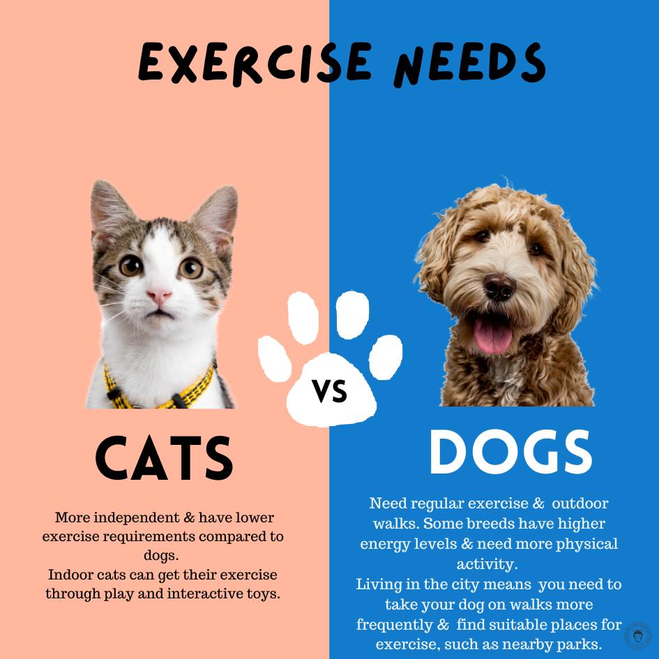 Do Dogs Have More Breeds Than Cats? Surprising Breed Facts!