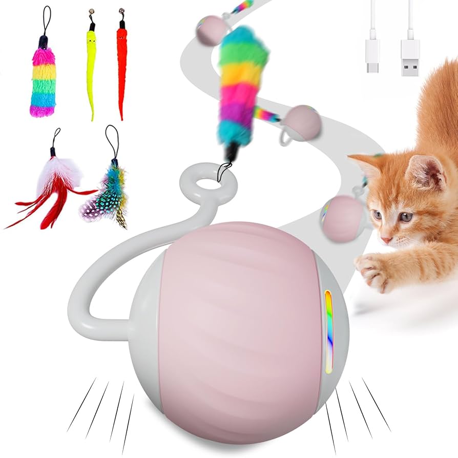 Do Led Cat Toys Make Cats Move: Boost Playtime Fun Instantly