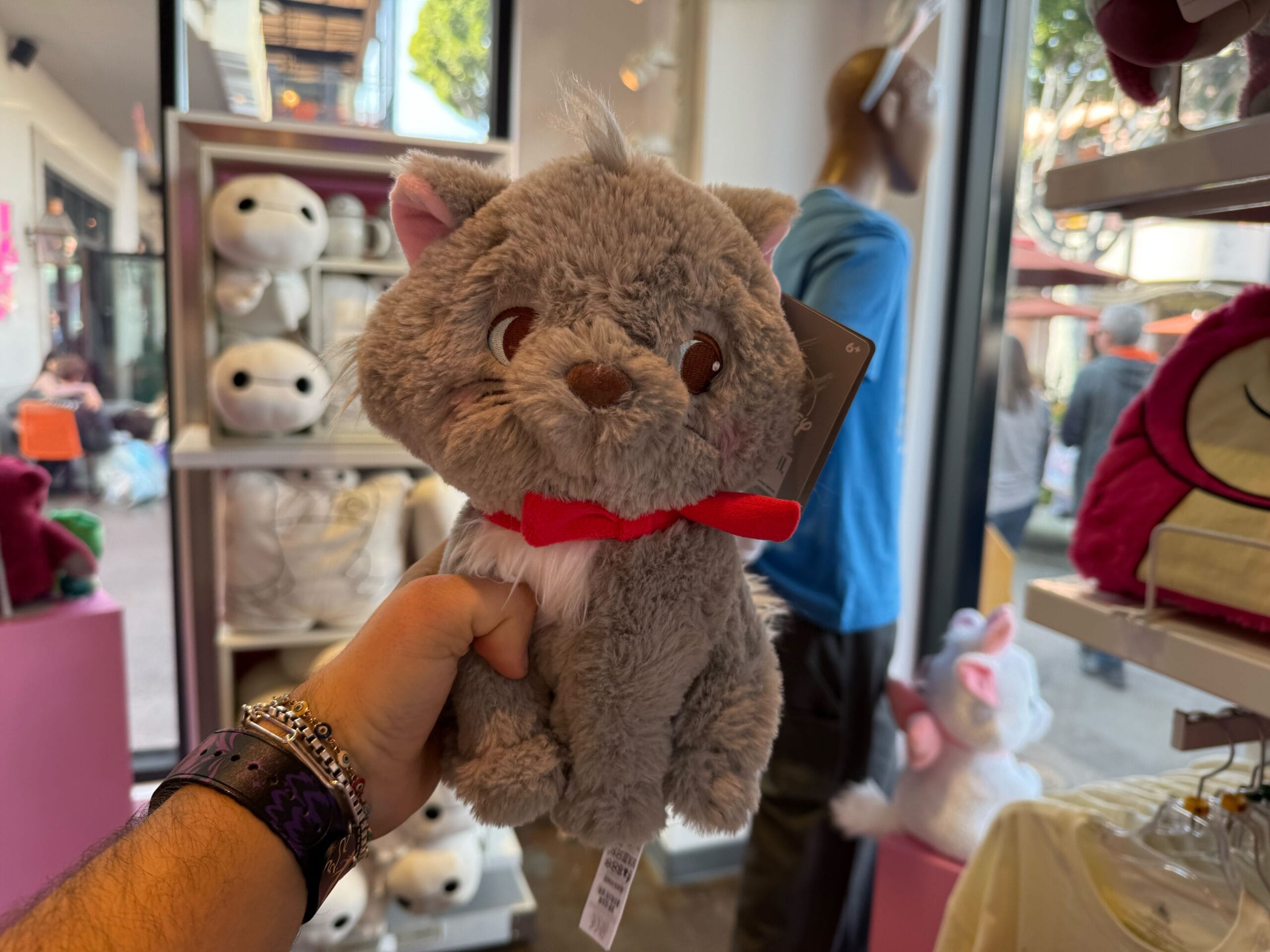 Do They Sell Toy Cats at Downtown