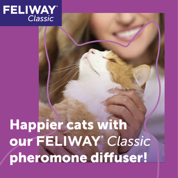Does Feliway Help Calm a Cat for Grooming