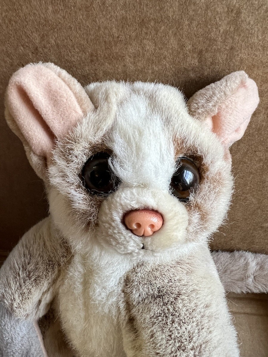 Does Toys R Us Have Jelly Cats? Find Out Now!