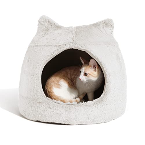 Dog’S Best Friend & the Cat’S Meow: Top Cozy Beds and Fun Treats
