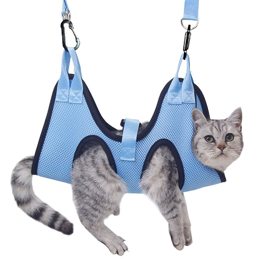 How Can I Groom My Cat Without Getting Scratched