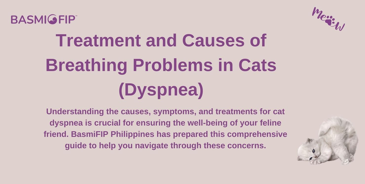 How Can Toy.Tell.If a Cat is Breathing Hard