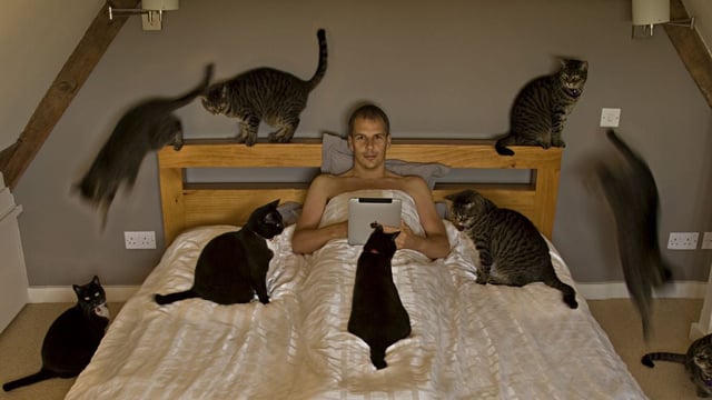 How Cat Breeding Work With Multiple People: Ultimate Guide
