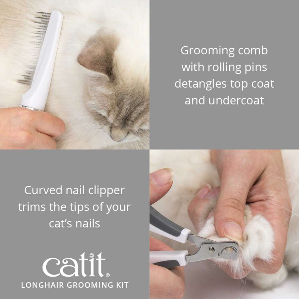 How Do I Groom a Longhaired Cat: Essential Tips for Perfect Care