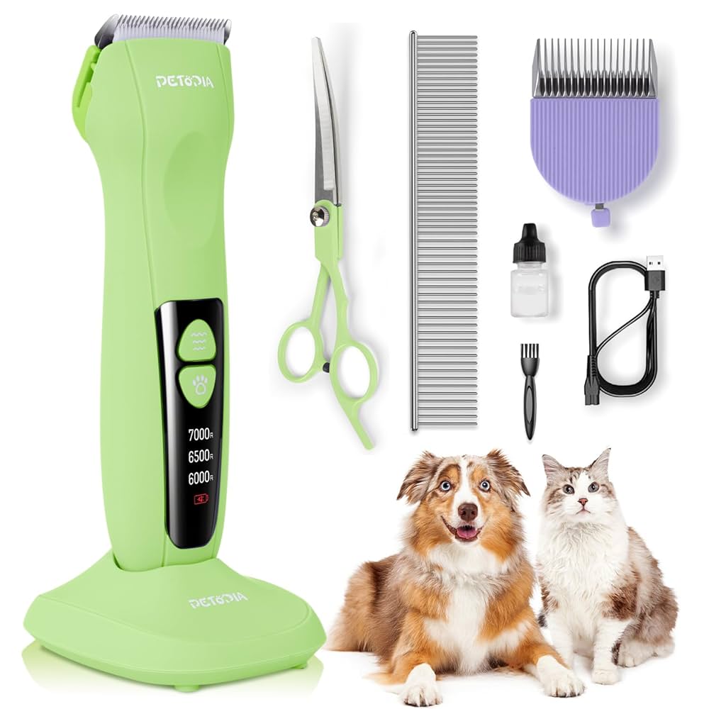 How Do the Grooming Needs of Cats And Dogs Compare