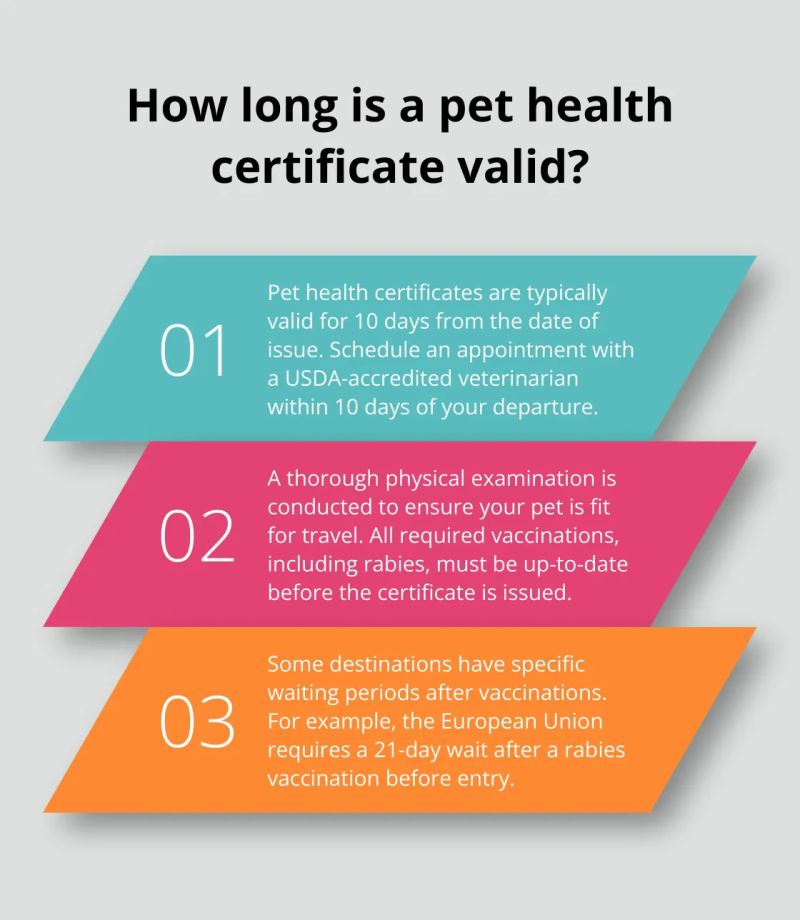 How Long Does a Health Certificate for a Cat Lasts