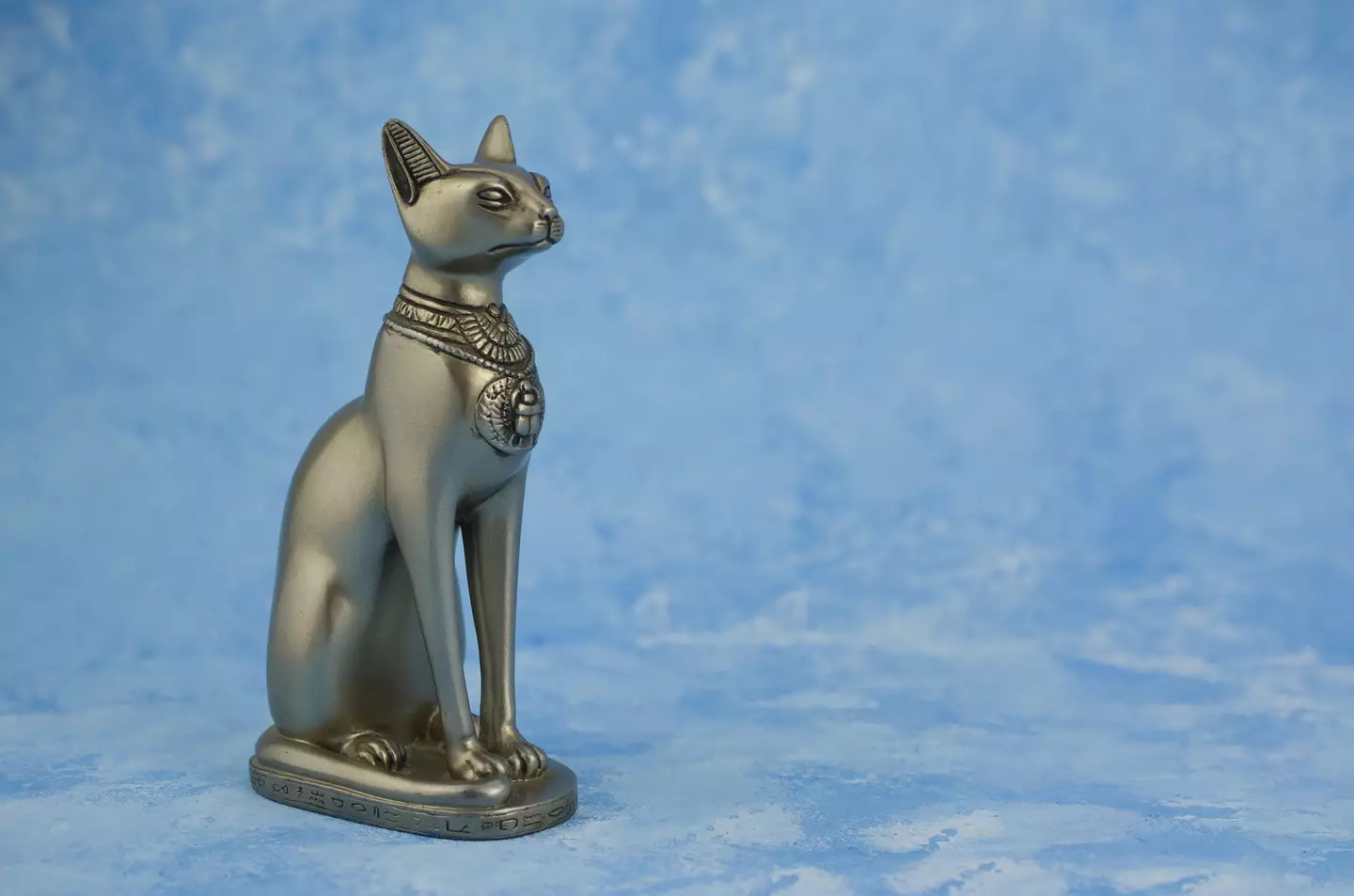 How Long Have Humans Been Breeding Cats: Unveiling History