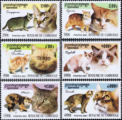How Many Cat Breeds are There 2019: Ultimate Guide Revealed