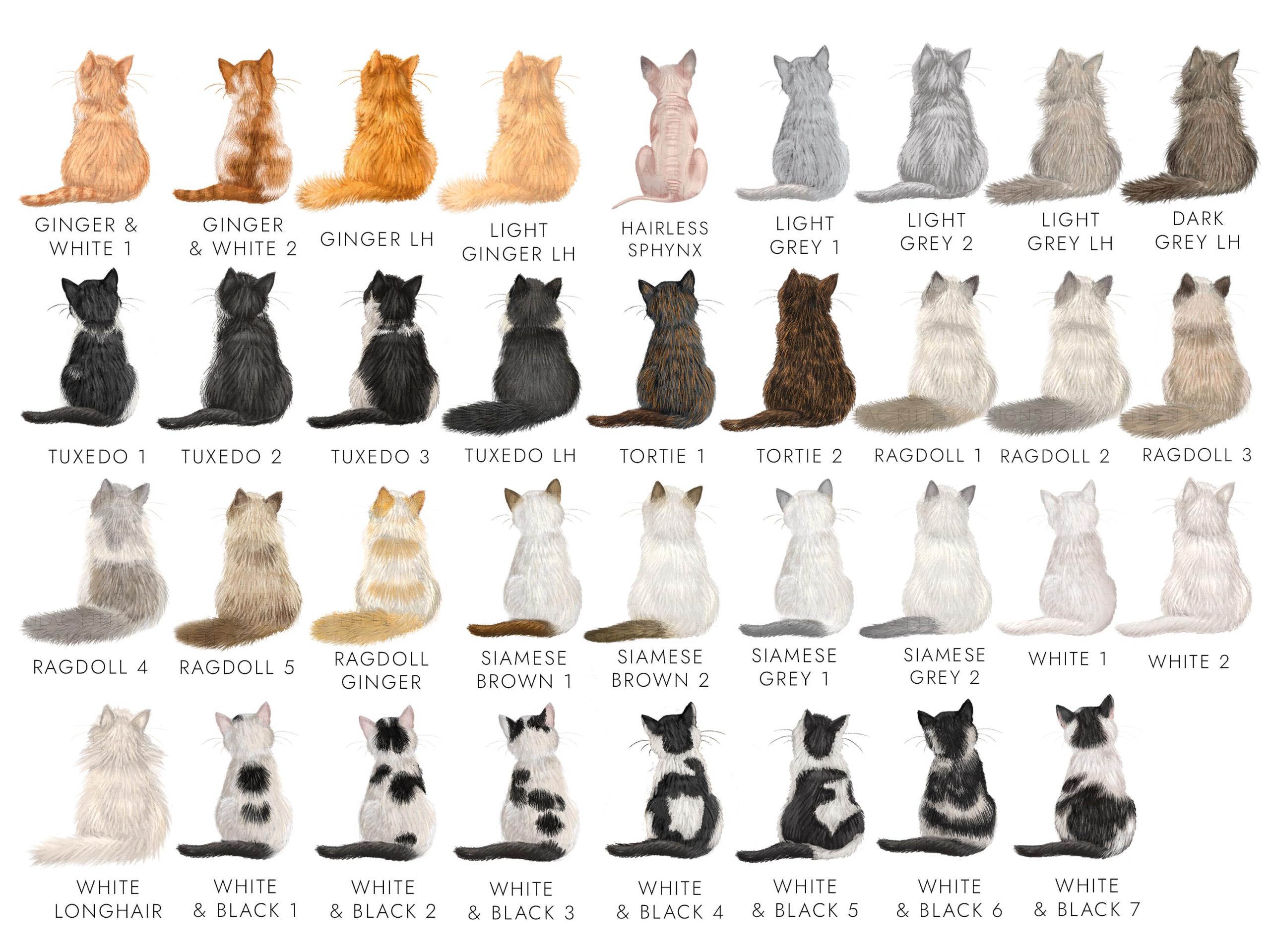 How Many Cat Breeds List: Ultimate Guide to Feline Varieties