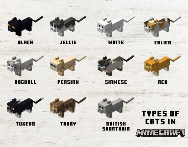 How Many Minecraft Cat Breeds: Ultimate Guide to All Types
