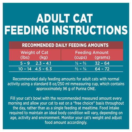 How Much Can Food Per Day for an Adult Cat: Ultimate Feeding Guide