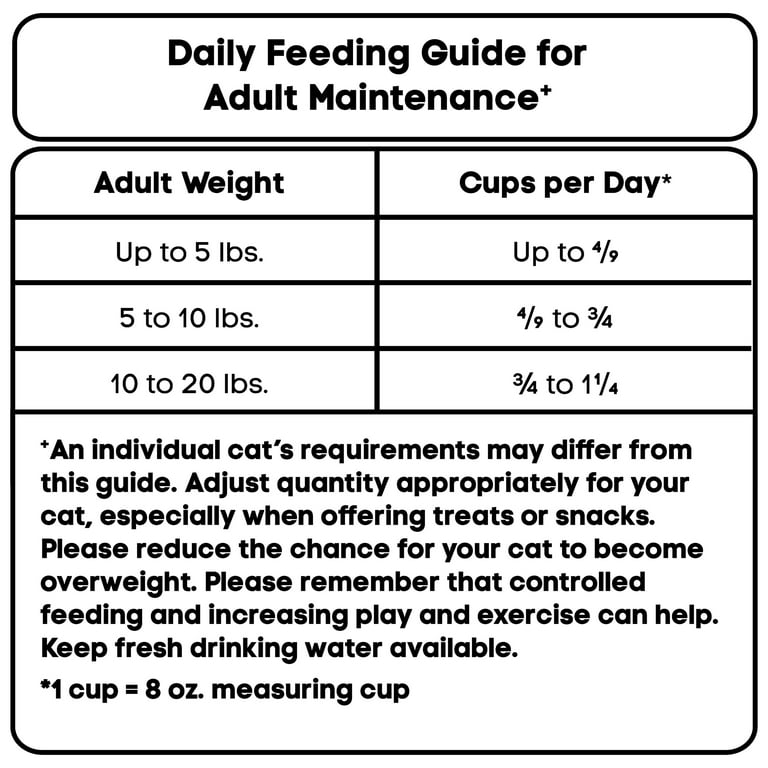 How Much Cat Food Per Day Adult Cats Need: Expert Feeding Guide