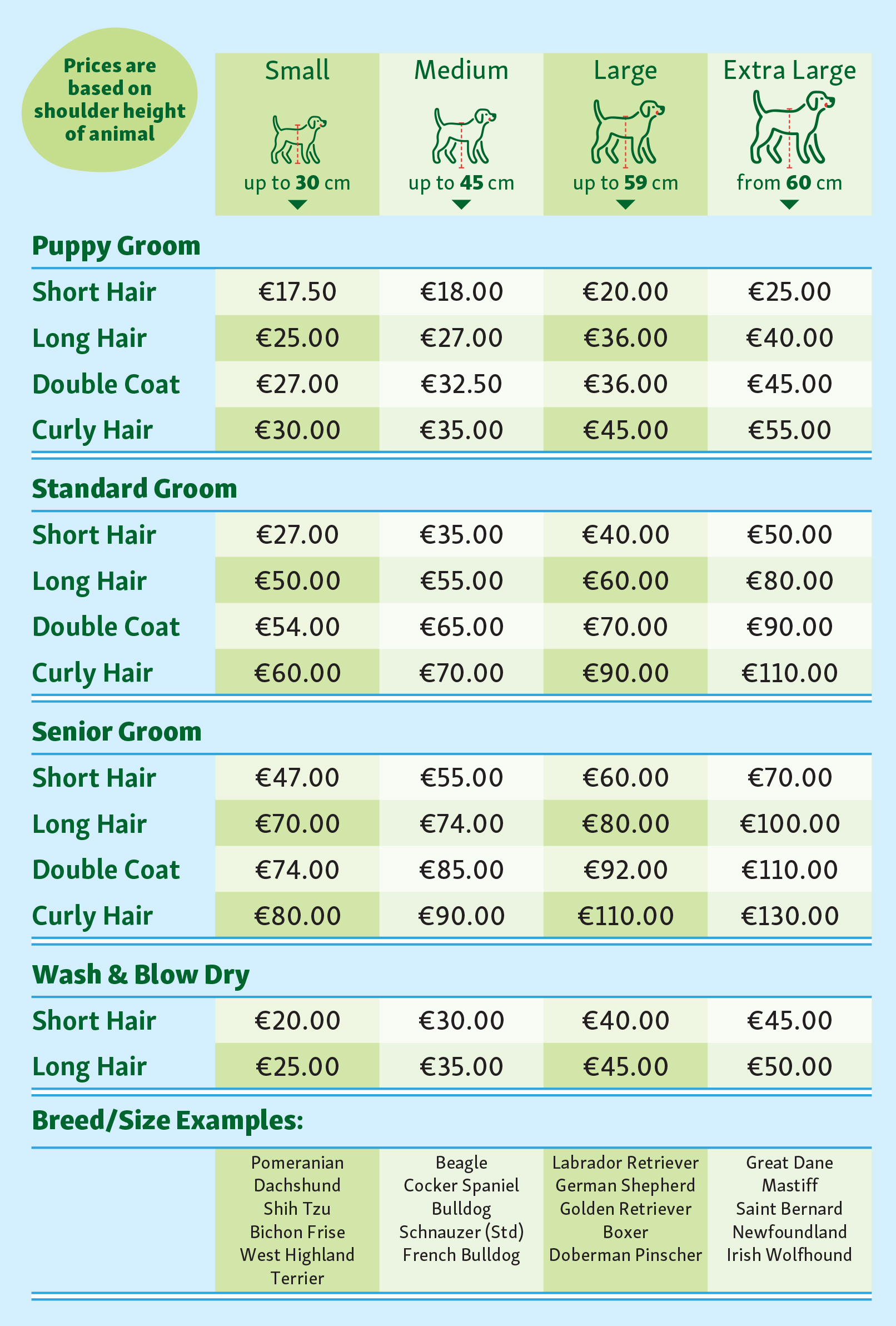 How Much Does a Typical Cat Grooming Cost