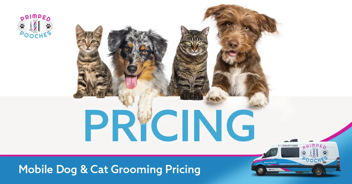 How Much Does Mobile Pet Grooming Cost Cat: Ultimate Price Guide