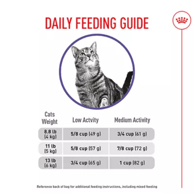 How Much Food is Appropriate for an Adult Cat: Expert Feeding Guide