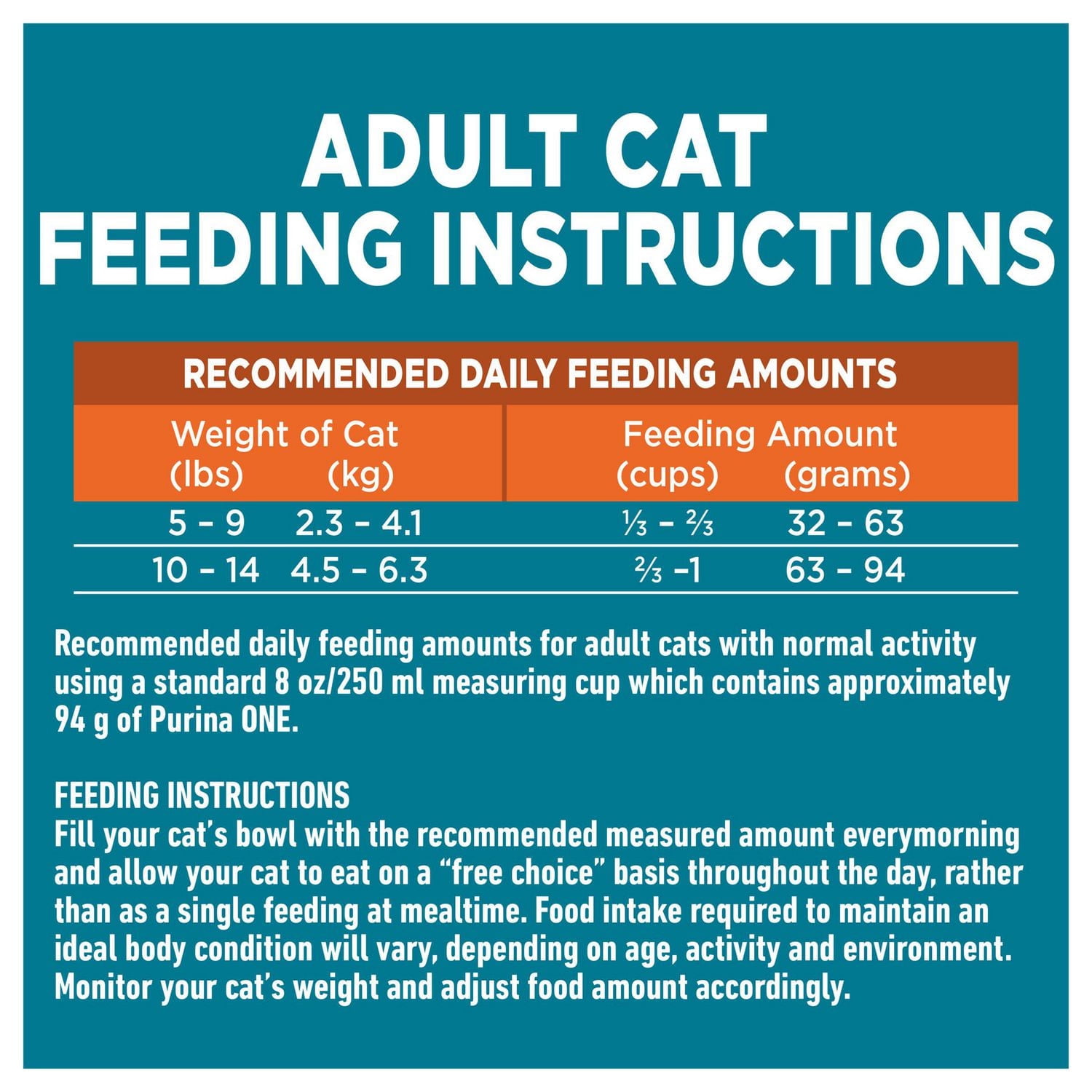 How Much Food Should an Adult Cat Eat Daily: Expert Feeding Guide